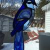 Karen's Kuts Birds Series